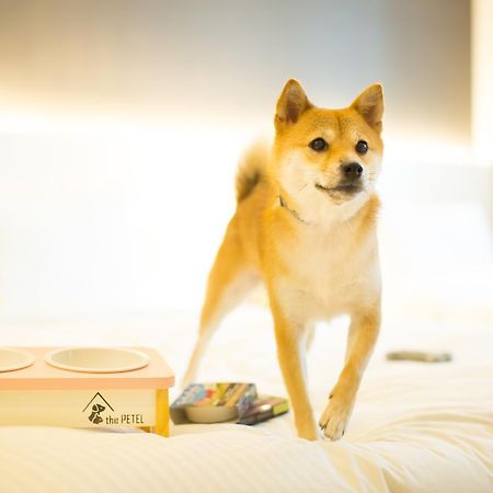 The Petel Premium Suite Busan Eksteriør billede