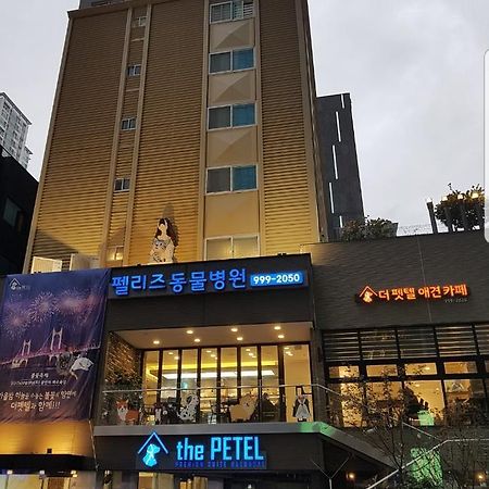 The Petel Premium Suite Busan Eksteriør billede