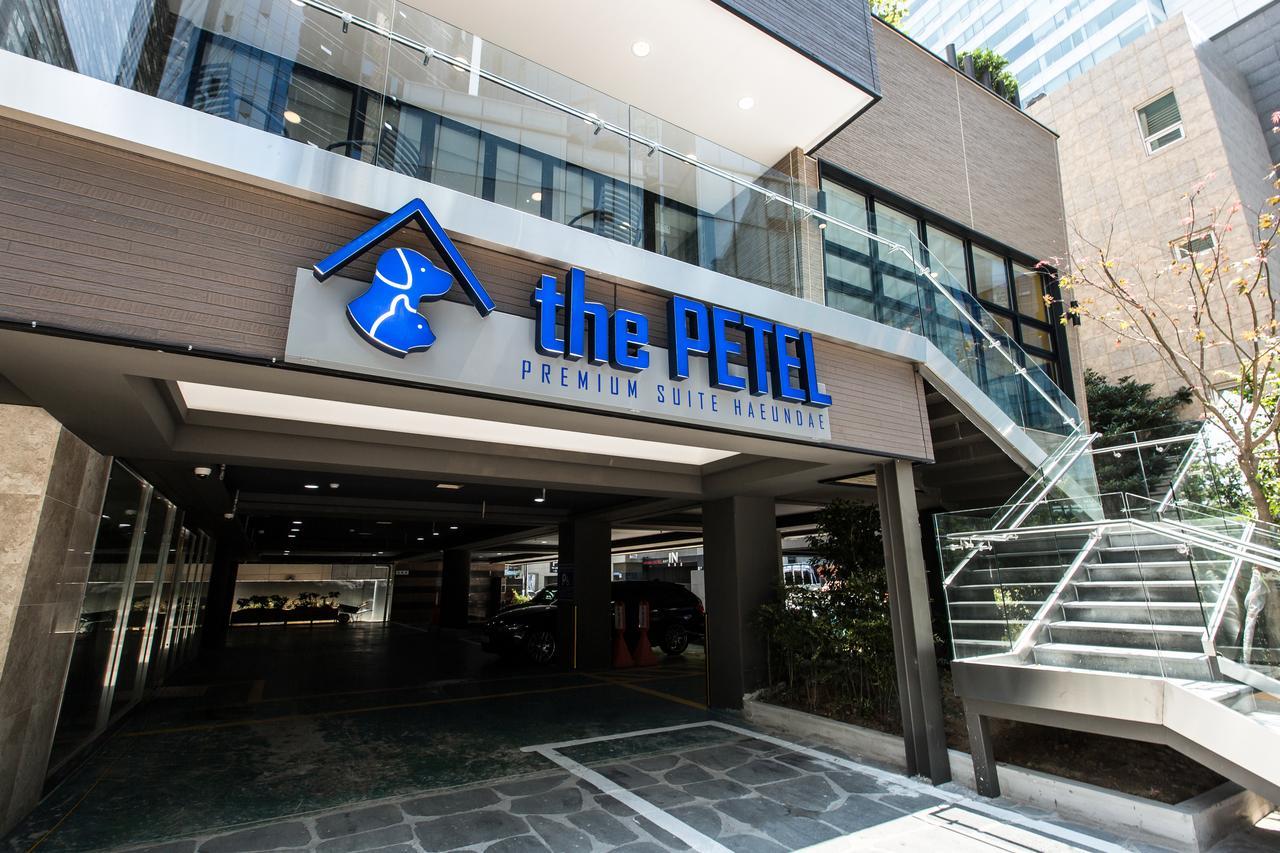 The Petel Premium Suite Busan Eksteriør billede